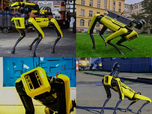 Robot dogs, types, differences, development prospects