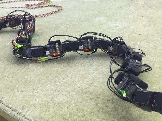 Robotic Snakes: Able to Go Where Humans Cannot