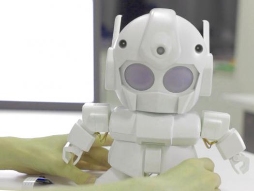 Robots Become Affordable with Rapiro Kit